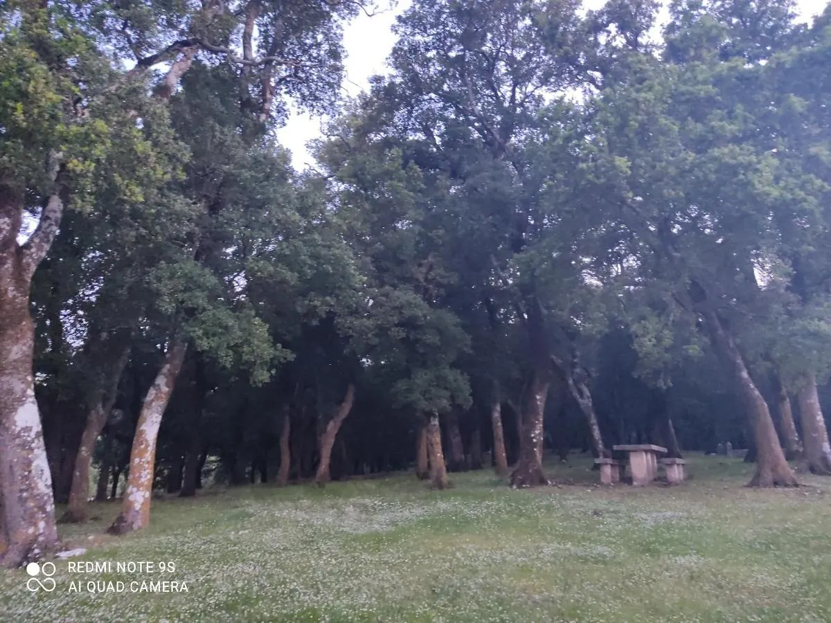 Rosegarden Βίλα Σάμη Ελλάδα