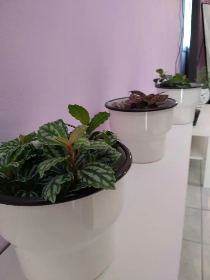 Rosegarden Βίλα Σάμη Σπίτι διακοπών